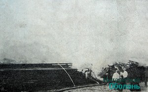 Отстаиванее сосновых штабелей, 1908 го 